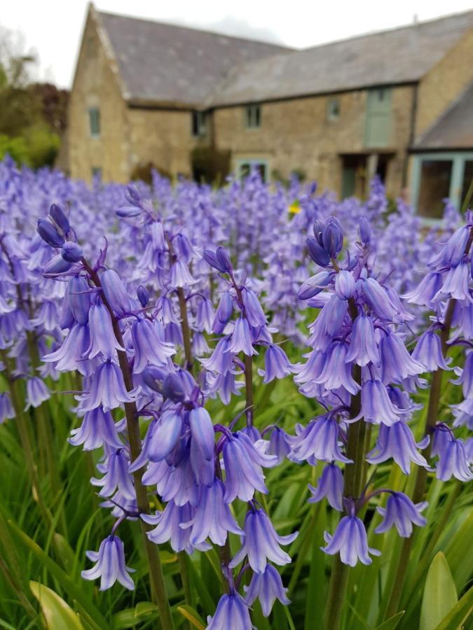 Апартаменти Woodcock Farm Бристоль Екстер'єр фото